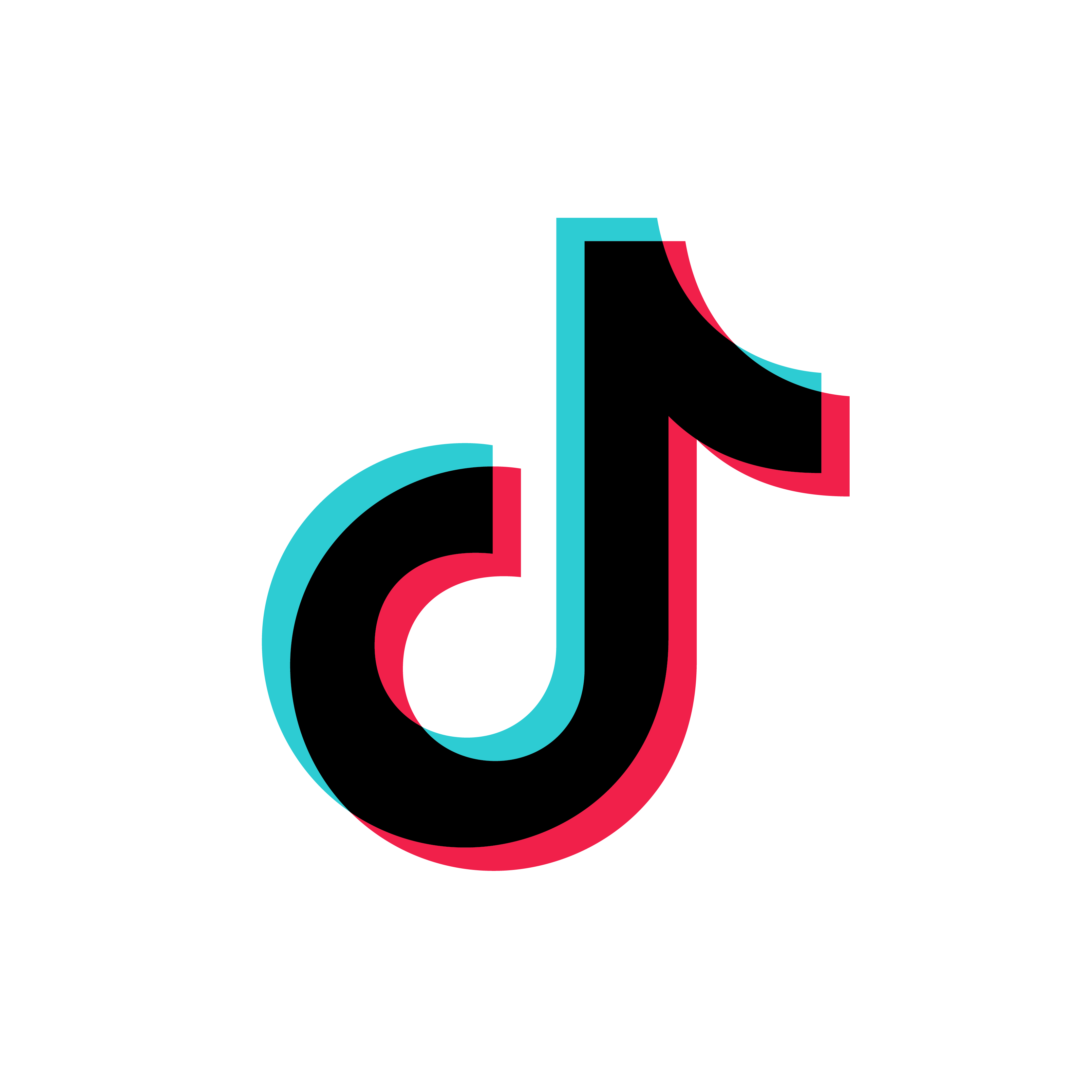 Official TikTok Platform Identity Graphics Asset